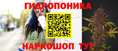 альфа пвп Обнинск