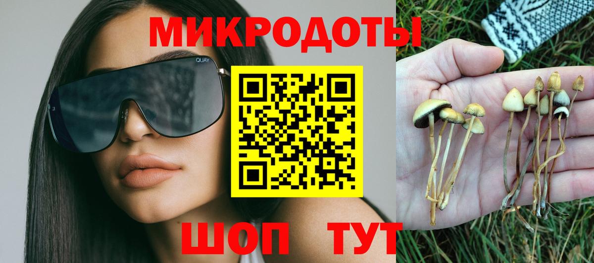 Новодвинск  Псилоцибиновые грибы прущие грибы  Галлюциногенные грибы прущие грибы  Вход с VPN 